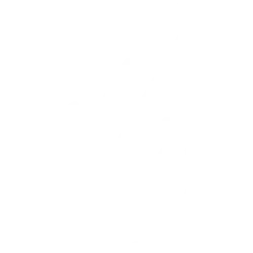 Negocios Inmobiliarios & Servicios Notariales